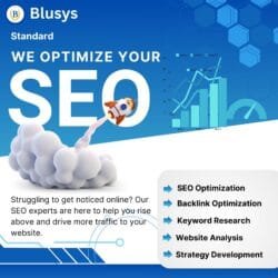 Standard SEO
